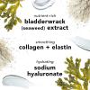 imageMario Badescu Seaweed Night Cream for Women Anti Aging OilFree Moisturizer with Collagen ampamp Sodium Hyaluronate Ideal for CombinationSeaweed