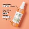 imageMario Badescu Facial Spray with Aloe Sage and Orange Blossom for All Skin Types  Face Mist that Hydrates ampamp Uplifts4 Fl Oz Pack of 1